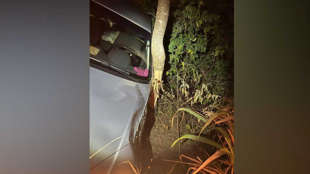 Carro colide com árvore na MG-181 em João Pinheiro, ocupantes saem ilesos do acidente