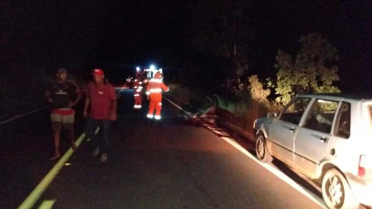 Vaca solta na pista causa acidente na MG-181 em João Pinheiro; ocupantes saem ilesos