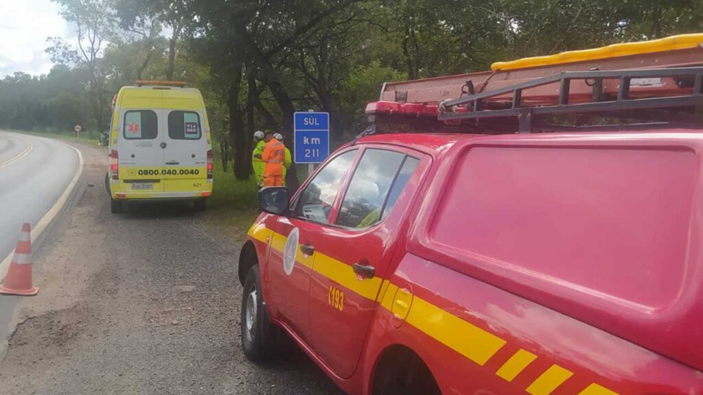 Motorista fica ferido após veículo sair de pista e colidir com árvore na BR-040 em João Pinheiro