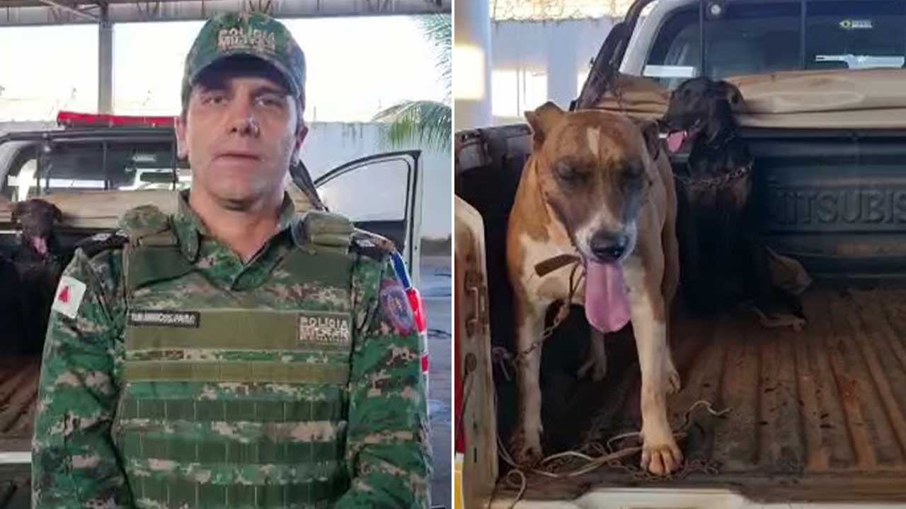 Homem que estuprava duas cachorras é preso por maus tratos e zoofilia em Unaí