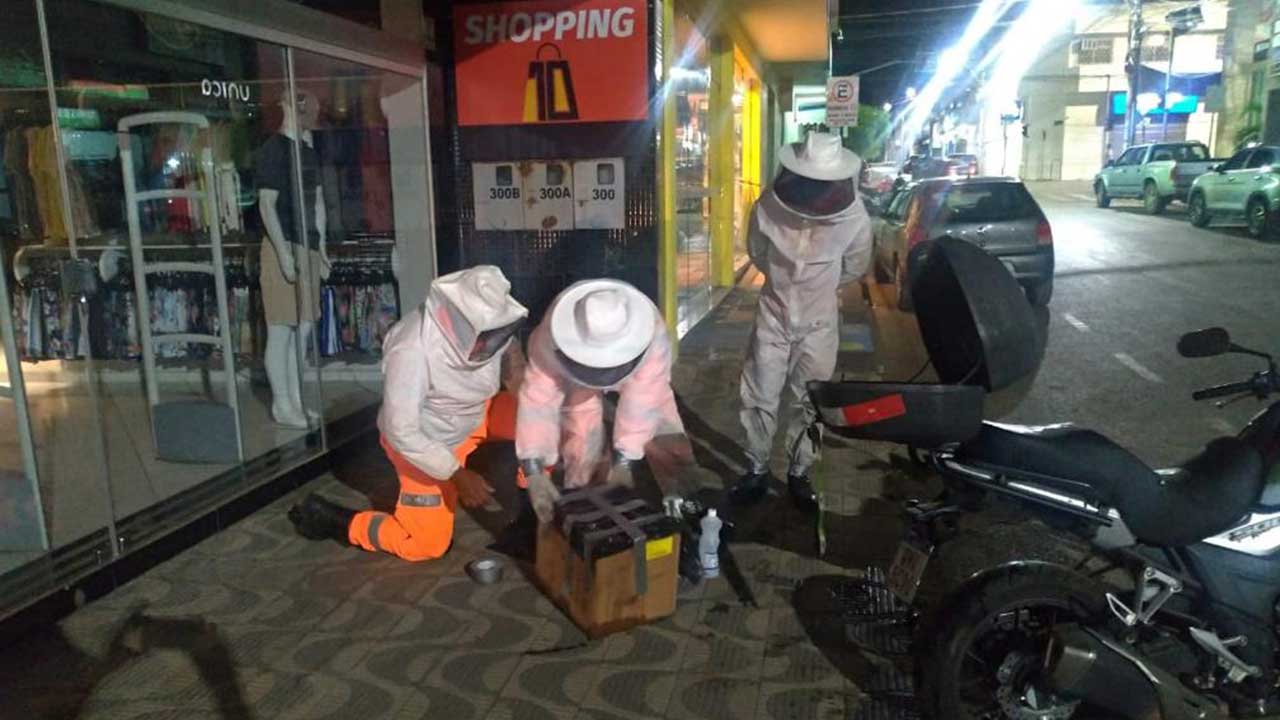 Corpo de Bombeiros captura abelhas que se alojaram em motocicleta no Centro de João Pinheiro