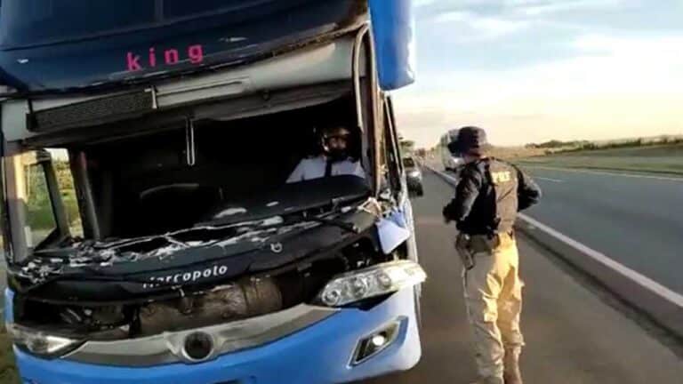 Motorista é flagrado usando capacete de moto para dirigir ônibus sem para-brisa no Goiás