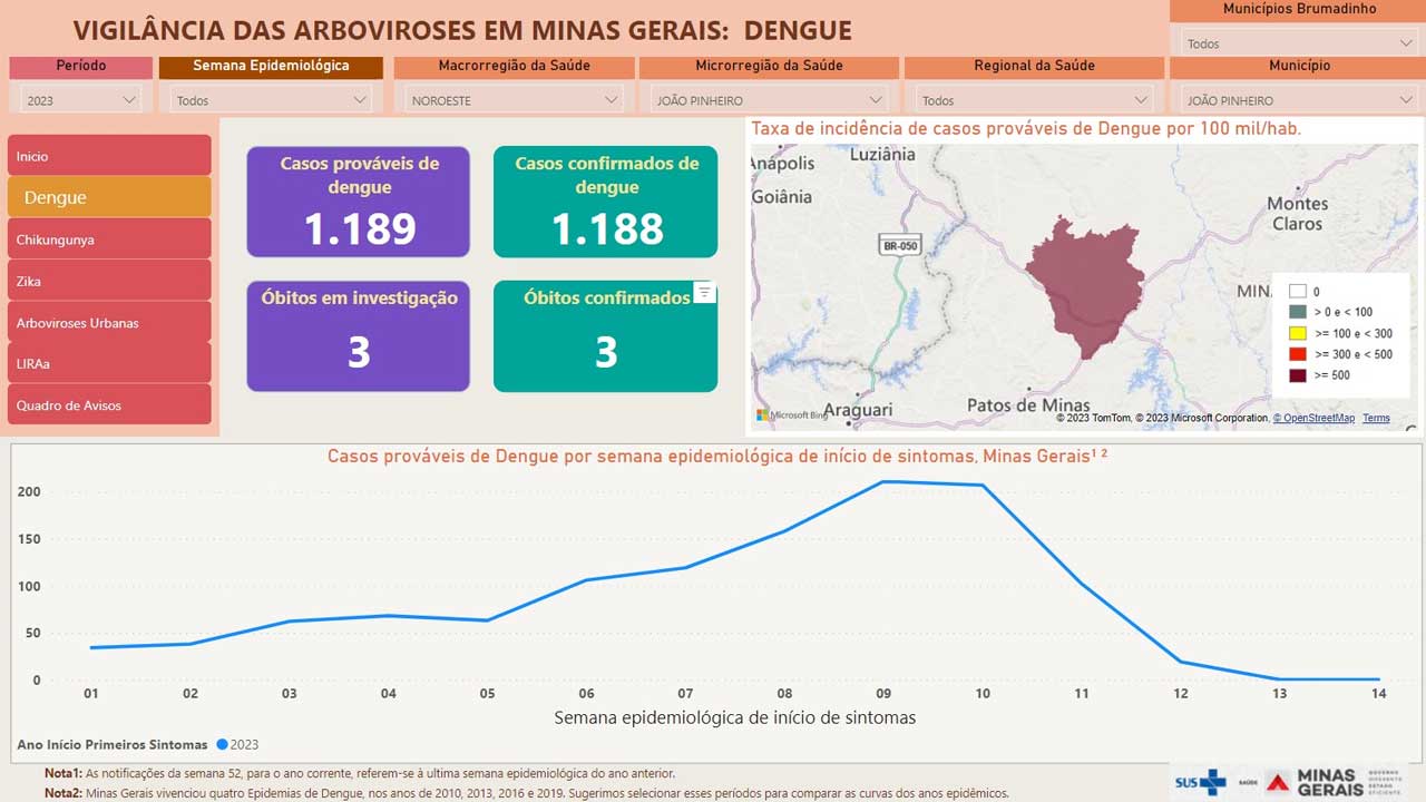 Com 3 óbitos confirmados, João Pinheiro lidera ranking de mortes por dengue em Minas Gerais