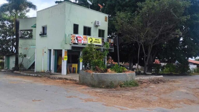 Fim de uma era: prefeitura retira o que sobrou da gameleira do Papagaio após árvore sucumbir a pragas
