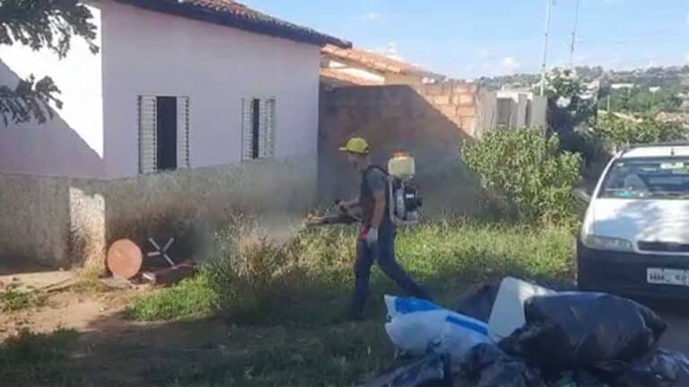 Região de João Pinheiro, Triângulo e Alto Paranaíba têm mais da metade dos óbitos por dengue no estado