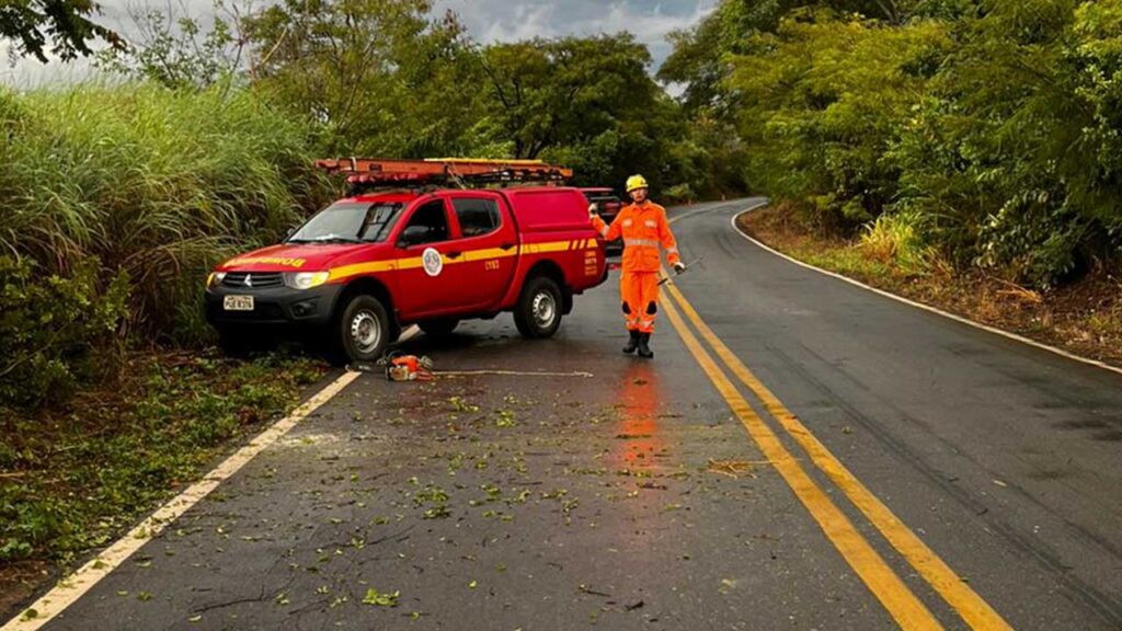 Corpo de Bombeiros de João Pinheiro retira árvore que caiu na pista da MG-181