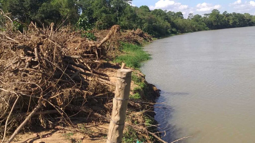 Proprietário desmata margem do Rio Paracatu em Brasilândia e poderá ser multado em mais de R$300 mil