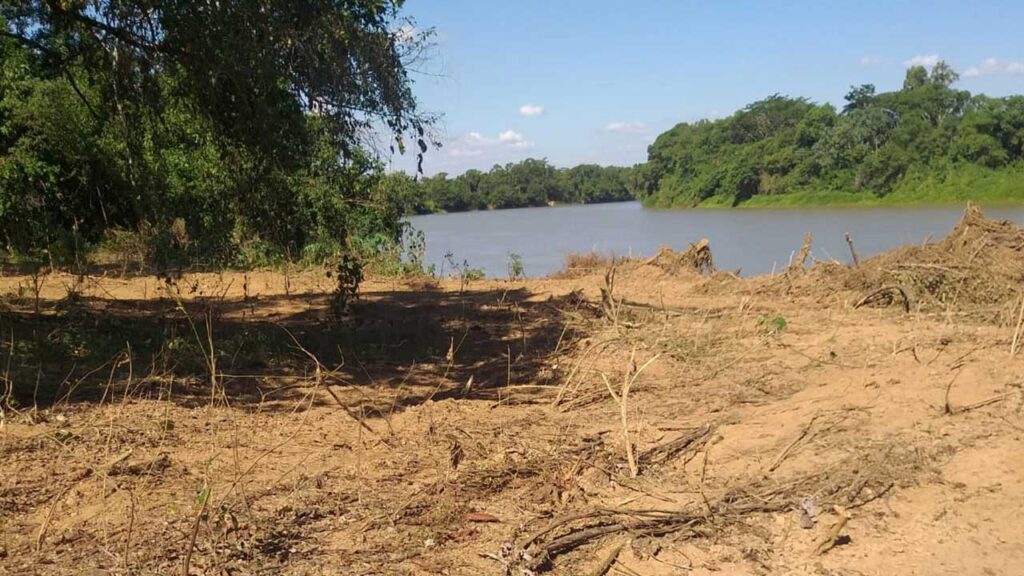 Proprietário desmata margem do Rio Paracatu em Brasilândia e poderá ser multado em mais de R$300 mil