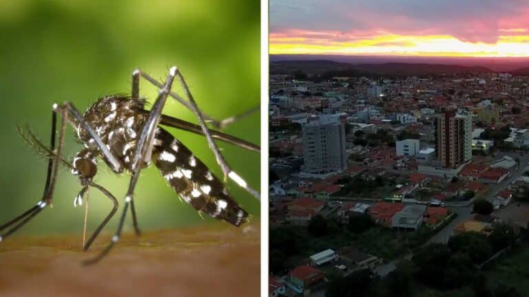 Números da dengue em João Pinheiro seguem estáveis, com nenhum novo caso confirmado na útlima semana