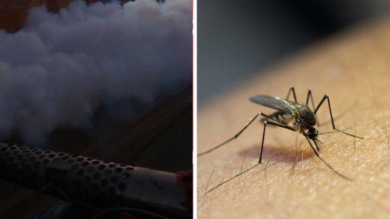 Com 32 novos casos na última semana, números da dengue em João Pinheiro seguem apresentando estabilidade
