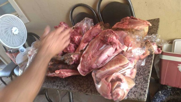 Dupla invade fazenda, agride e amarra proprietário, mata animais e acaba presa pela polícia em João Pinheiro
