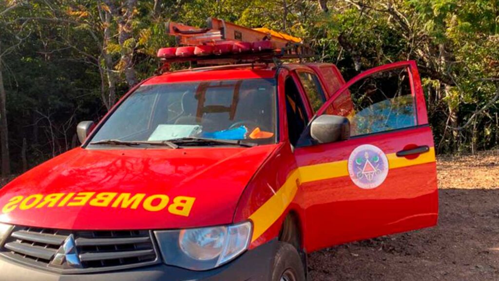 Corpo de Bombeiros resgata vaca atolada em grota na zona rural de João Pinheiro