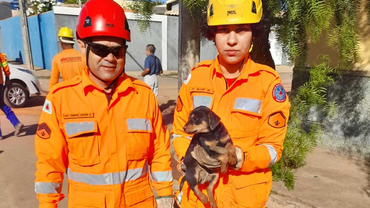Corpo de Bombeiros resgata filhote de cachorro que caiu em bueiro na cidade de João Pinheiro