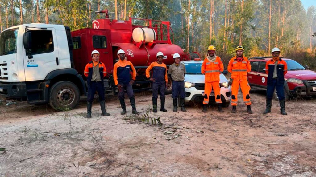Corpo de Bombeiros combate incêndio que consumiu 90 hectares de eucalipto em Brasilândia de Minas