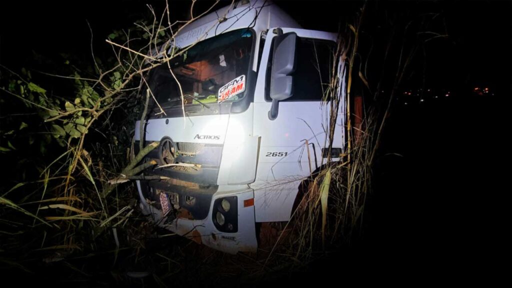 Rodovia MGC-354 em Presidente Olegário é palco de sequência de acidentes após queda de eucalipto