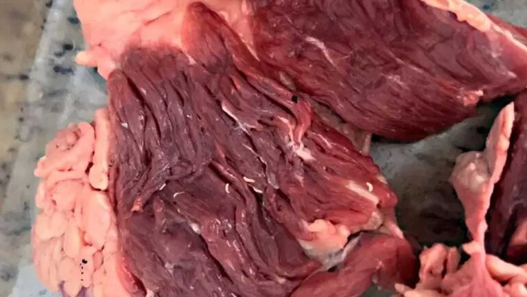 Supermercado de Minas Gerais que vendeu carne com larvas é condenado a pagar indenização