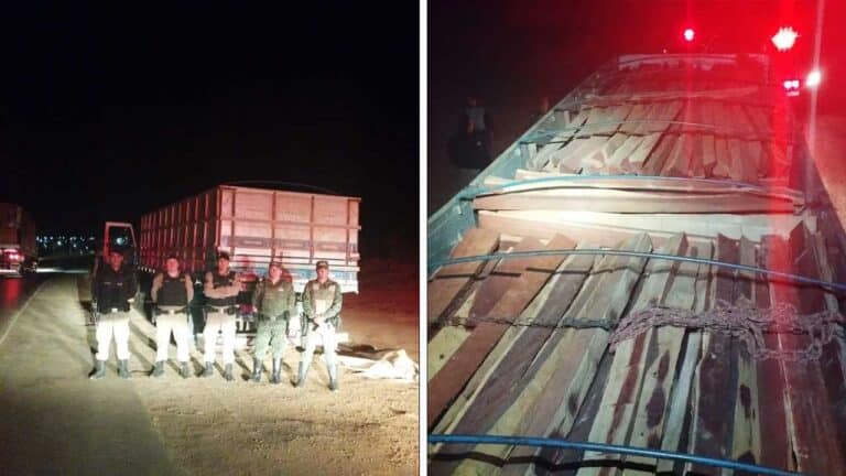 Polícia Militar apreende caminhão com carga ilegal de madeira nativa na BR-365 em Varjão de Minas