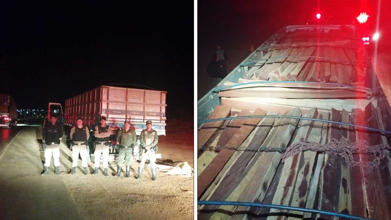 Polícia Militar apreende caminhão com carga ilegal de madeira nativa na BR-365 em Varjão de Minas