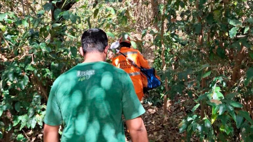 Policial militar cai de árvore de 5 metros e é socorrido pelo Corpo de Bombeiros na zona rural de Brasilândia de Minas