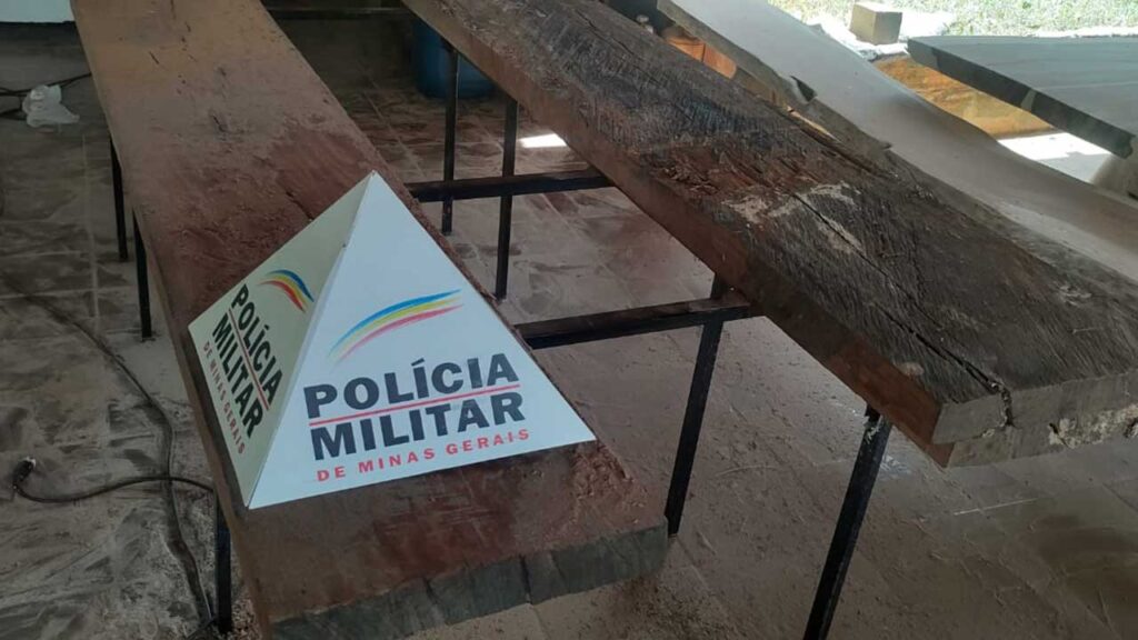 Polícia apreende madeira supostamente furtada às margens do Rio Paracatu em João Pinheiro