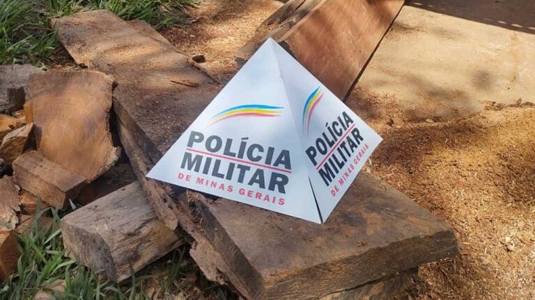 Polícia apreende madeira supostamente furtada às margens do Rio Paracatu em João Pinheiro