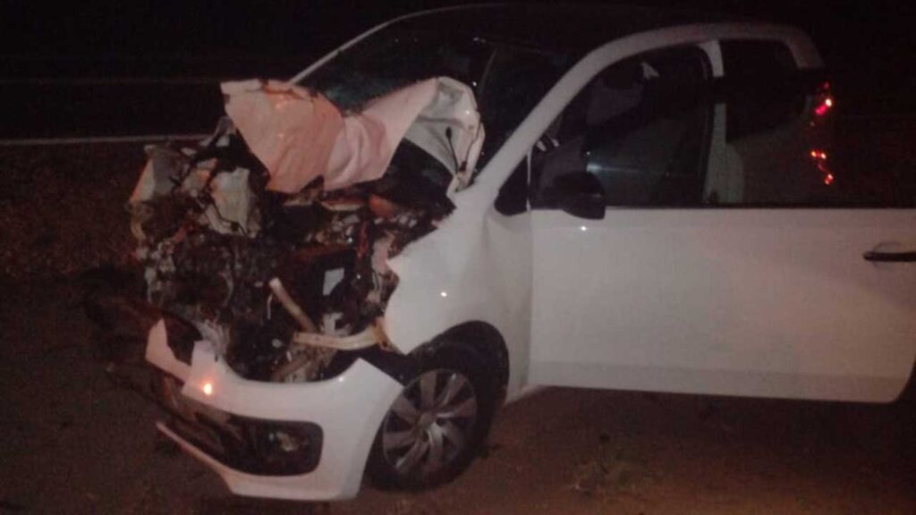 Carro fica bastante danificado após motorista atropelar anta na BR-040, próximo a João Pinheiro