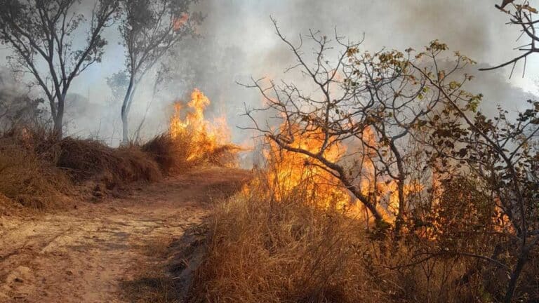 Combate a incêndio no Capão da Água Limpa durou 5 horas; aproximadamente 7 hectares foram consumidos pelo fogo