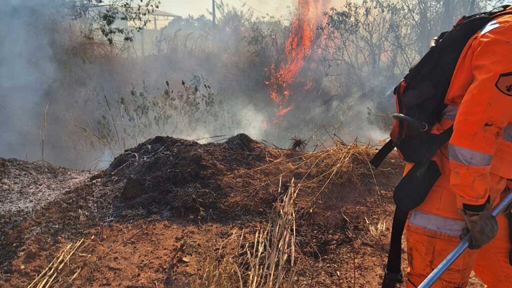 Combate a incêndio no Capão da Água Limpa durou 5 horas; aproximadamente 7 hectares foram consumidos pelo fogo