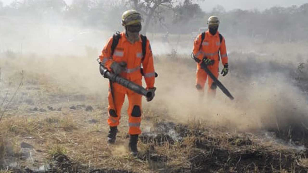 Incêndio em vegetação consome 6 hectares e atinge Haras Rio da Prata em João Pinheiro