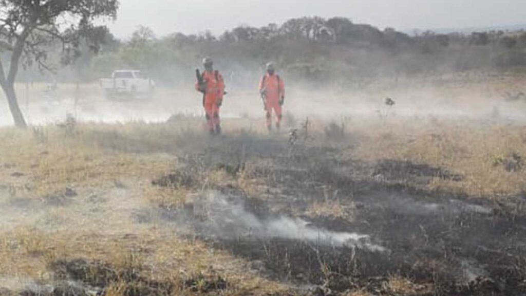Incêndio em vegetação consome 6 hectares e atinge Haras Rio da Prata em João Pinheiro