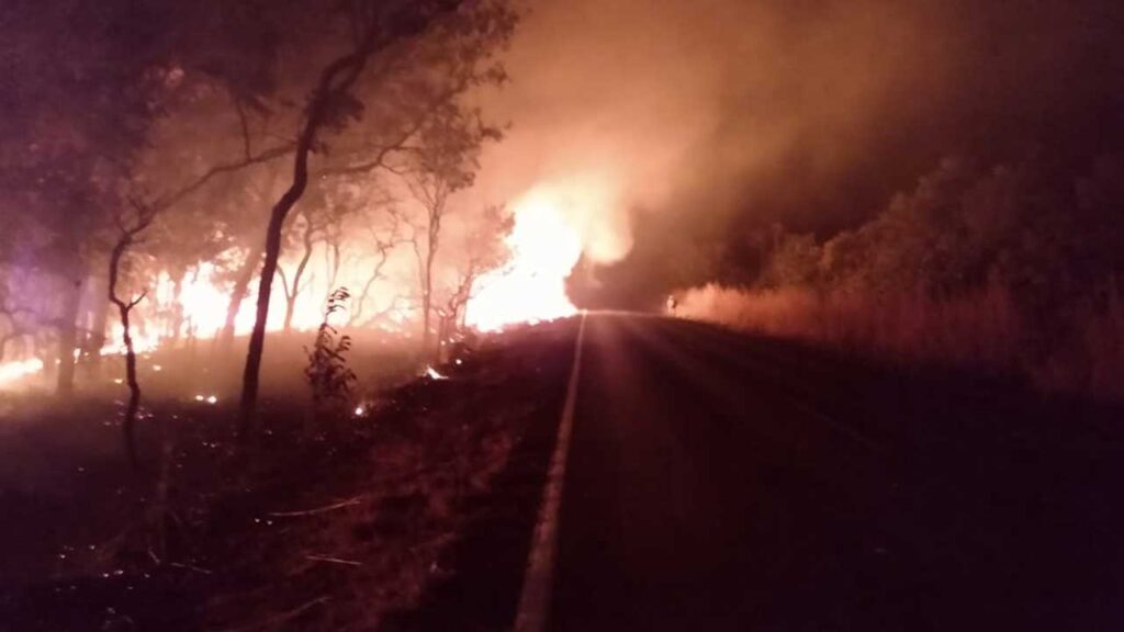 Corpo de Bombeiros de João Pinheiro combate incêndio que se iniciou às margens da MG-410, em Lagoa Grande