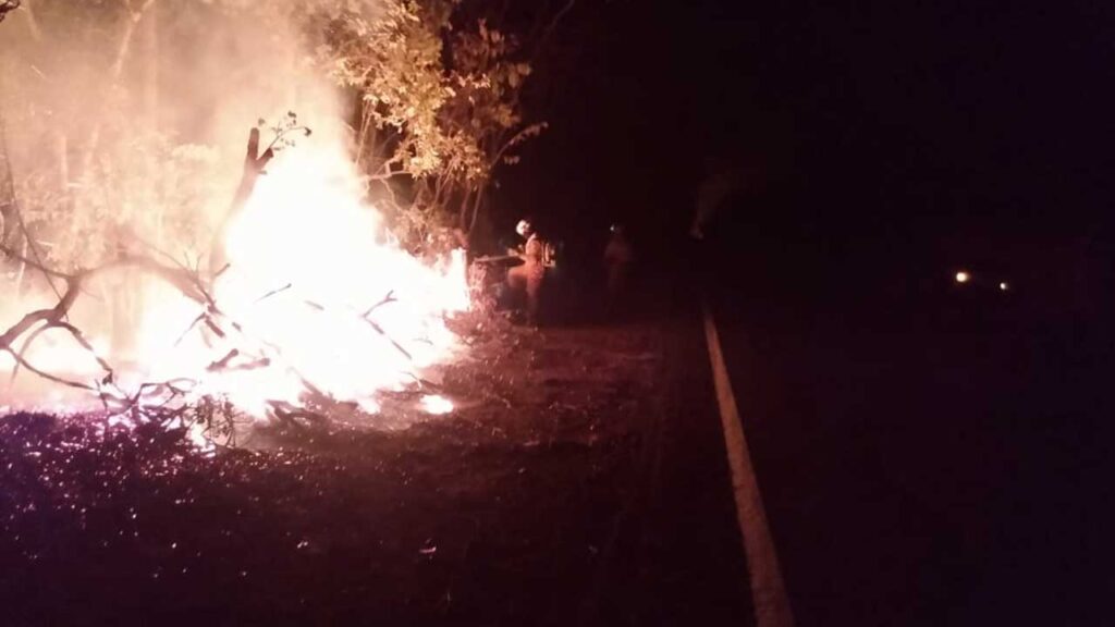 Corpo de Bombeiros de João Pinheiro combate incêndio que se iniciou às margens da MG-410, em Lagoa Grande