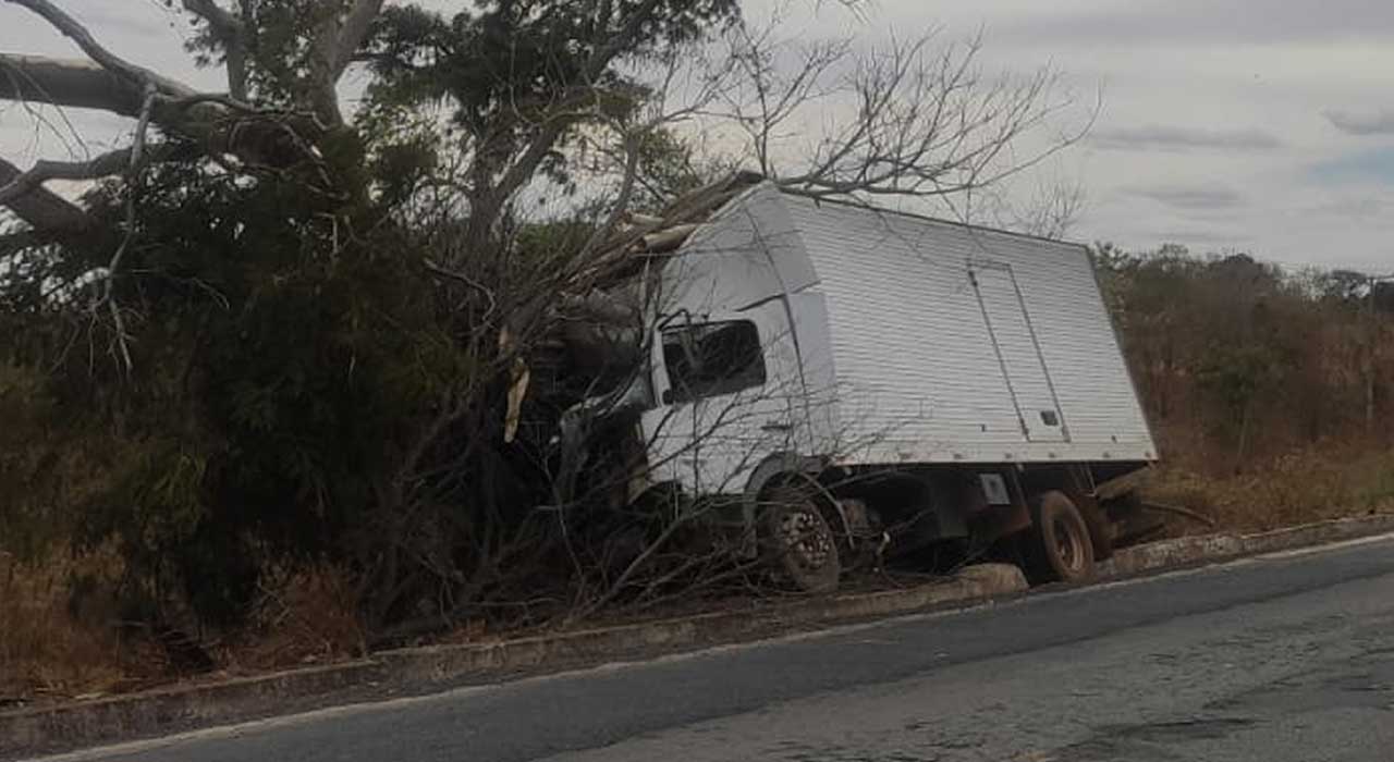 Motorista de caminhão desvia de animal e bate em árvore na MG-181, em Brasilândia de Minas