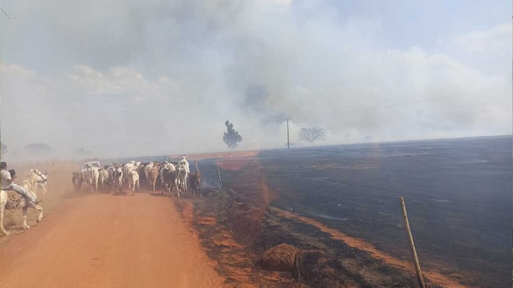 Bombeiros e voluntários controlam incêndio de grandes proporções na Fazenda Farroupilha, em João Pinheiro