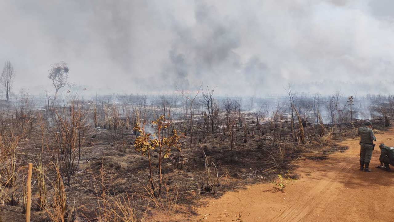 Incêndio florestal em fazenda da Vallourec consome aproximadamente 500 hectares em Brasilândia de Minas