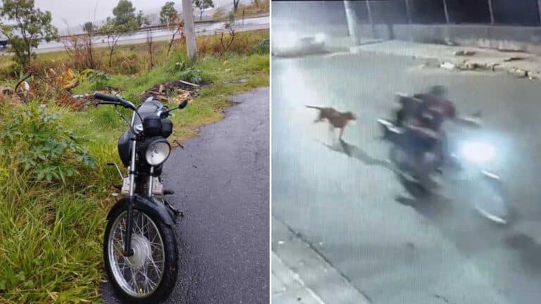 Motocicleta furtada dentro do pátio da igreja é recuperada abandonada em matagal no Cais em João Pinheiro