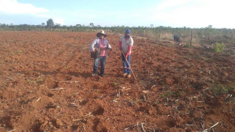Assentados da CODEBRAS que ocupam fazenda da Vallourec em Brasilândia consegue liminar para manter ocupação
