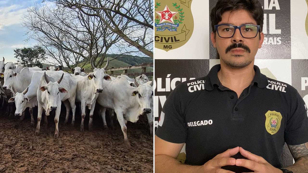 Polícia conclui inquérito e indicia dois por furto de gado e açougueiro que comprou a carne por receptação em João Pinheiro