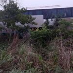 Motorista invade contramão, bate contra ônibus e morre na BR-365, em João Pinheiro
