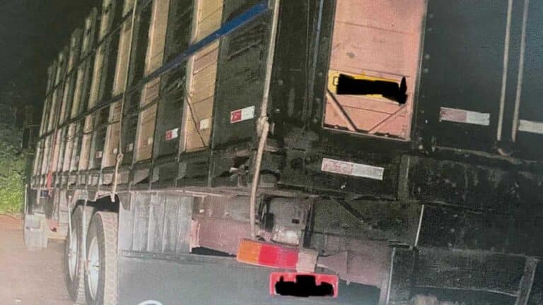 Polícia Civil conclui inquérito e indicia caminhoneiro por furto de gado em João Pinheiro