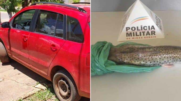 Polícia Militar prende homem que estava vendendo Surubim em Brasilândia de Minas
