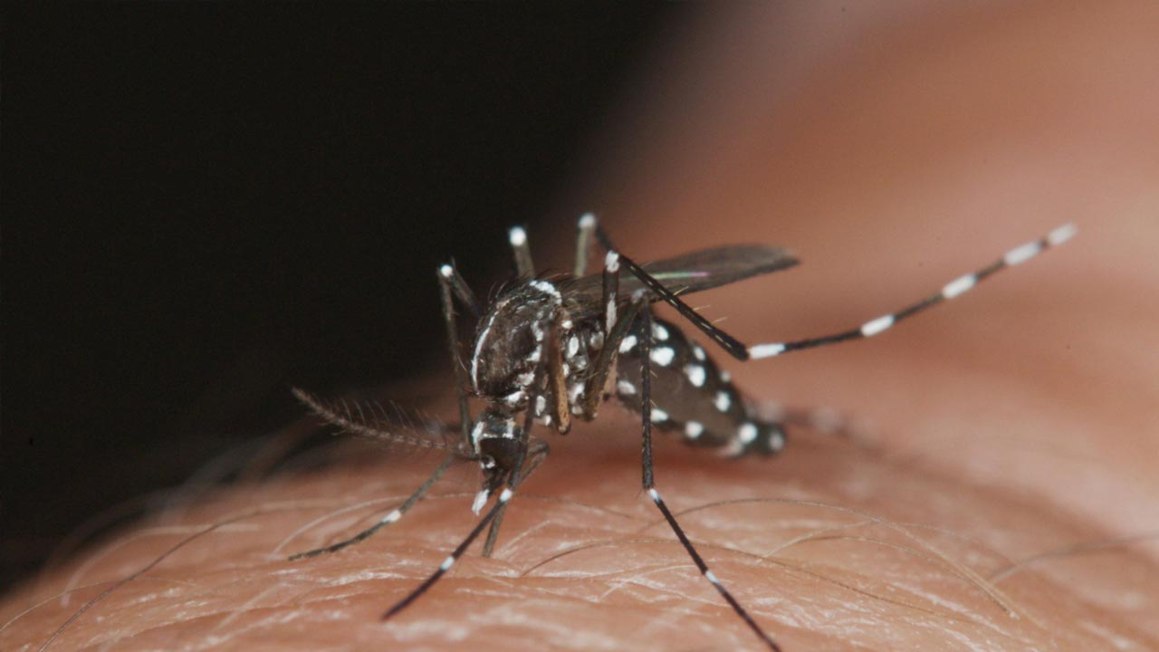 Vacinação contra dengue em Minas Gerais adiada para novembro, afirma secretário de saúde