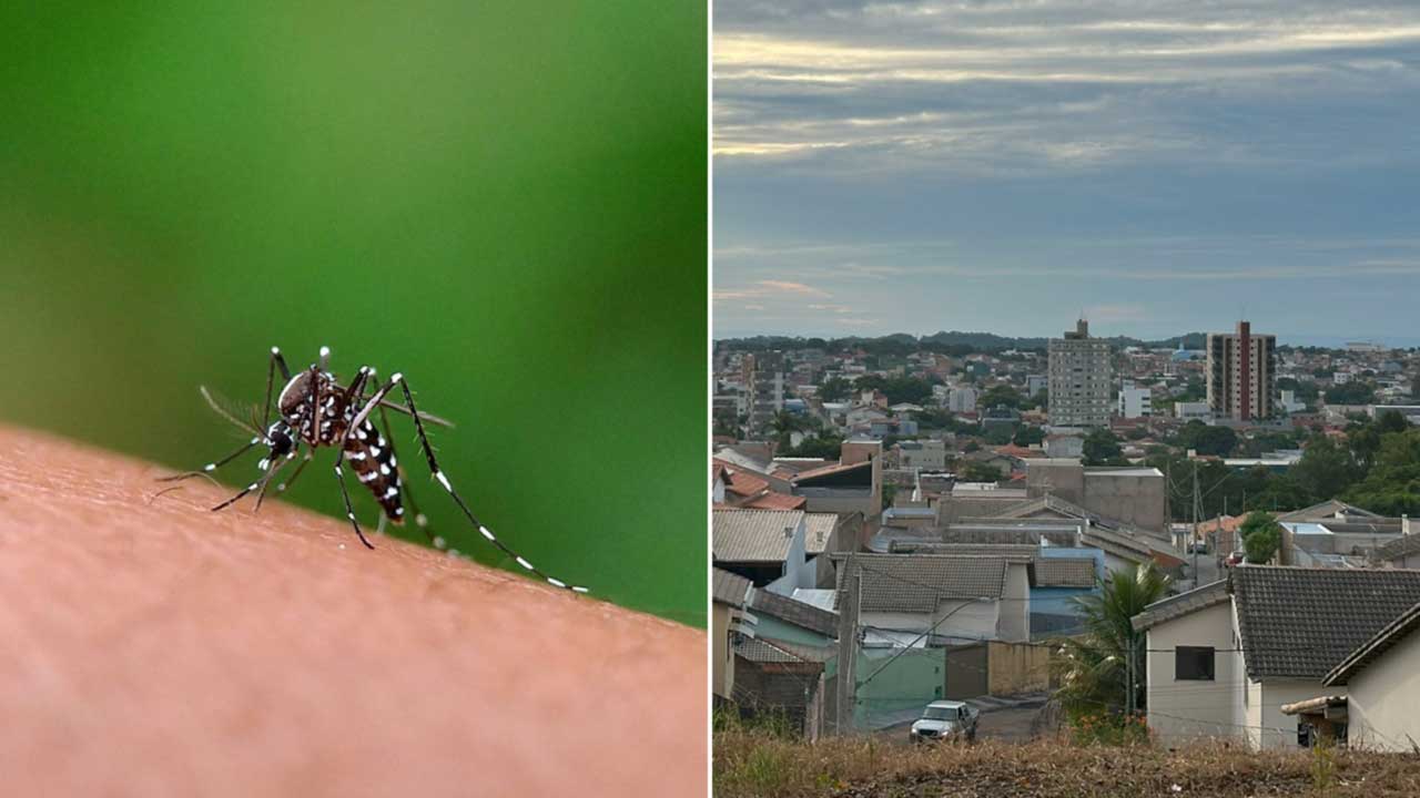 Número de casos de dengue em João Pinheiro volta a subir e estatística coloca MG na ponta do ranking nacional