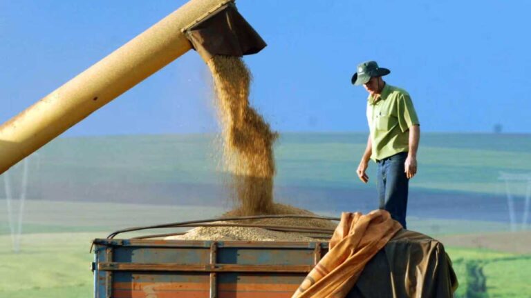 Safra 2024 alcançará 303,4 milhões de toneladas, 3,8% menor que a de 2023