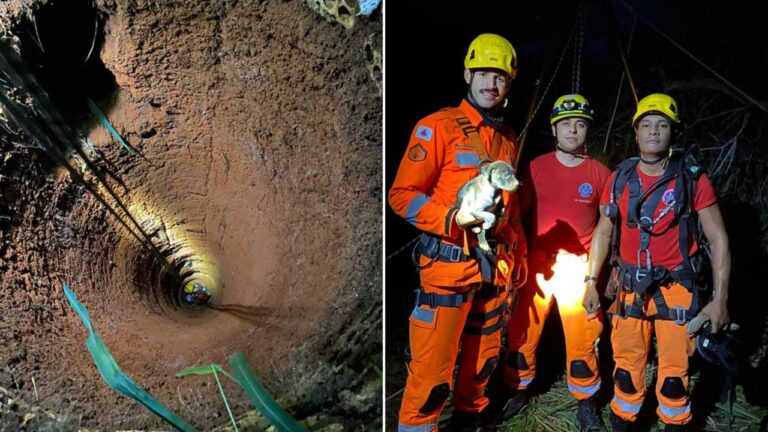 Corpo de Bombeiros resgata cachorro que caiu em cisterna de 15 metros em João Pinheiro