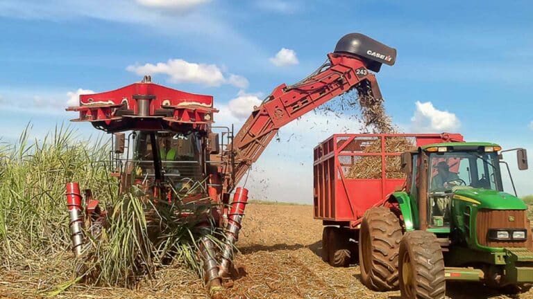 Produção de açúcar deverá superar 43 milhões de toneladas na safra 2024/2025