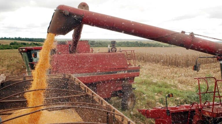 Colheita da safra de soja tinge 21% da área plantada no Brasil, mostra Conab