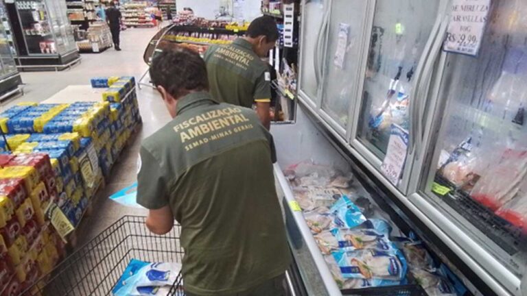 Semad multa estabelecimentos por irregularidades no comércio de pescados em João Pinheiro e Paracatu