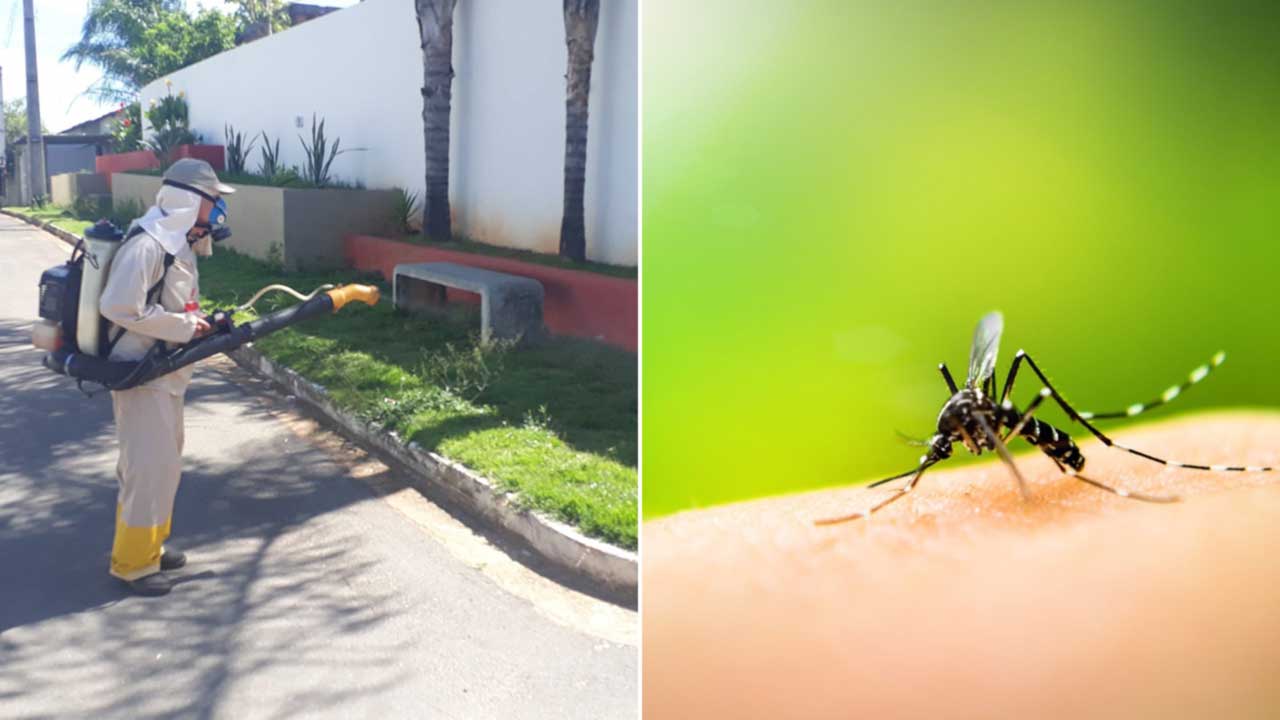 Número de casos confirmados de dengue quase dobra e chega a 83 em João Pinheiro 