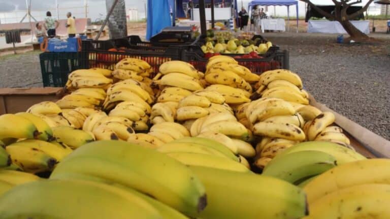 Cenoura, batata, banana, laranja ficaram mais caras em janeiro